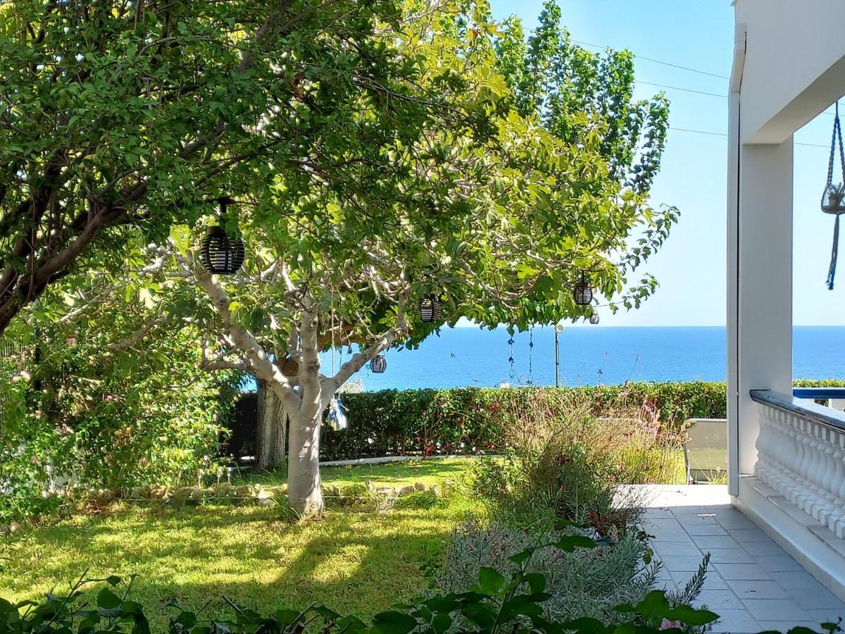 Villa Stegna Archangelos  Exterior photo